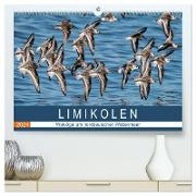 Limikolen - Watvögel am norddeutschen Wattenmeer (hochwertiger Premium Wandkalender 2024 DIN A2 quer), Kunstdruck in Hochglanz