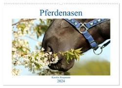 Pferdenasen (Wandkalender 2024 DIN A2 quer), CALVENDO Monatskalender