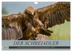 Der Schreiadler (Clanga pomarina) - Deutschands kleinster und stark gefährdeter Adler. (Wandkalender 2024 DIN A4 quer), CALVENDO Monatskalender