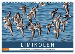Limikolen - Watvögel am norddeutschen Wattenmeer (Wandkalender 2024 DIN A3 quer), CALVENDO Monatskalender