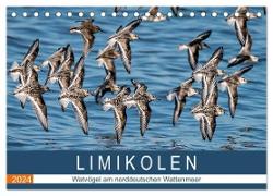 Limikolen - Watvögel am norddeutschen Wattenmeer (Tischkalender 2024 DIN A5 quer), CALVENDO Monatskalender