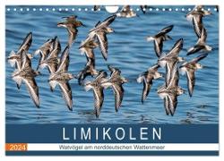 Limikolen - Watvögel am norddeutschen Wattenmeer (Wandkalender 2024 DIN A4 quer), CALVENDO Monatskalender