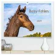 Baby-Fohlen: sonnige Impressionen (hochwertiger Premium Wandkalender 2024 DIN A2 quer), Kunstdruck in Hochglanz