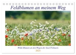 Feldblumen an meinem Weg (Tischkalender 2024 DIN A5 quer), CALVENDO Monatskalender