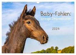 Baby-Fohlen: sonnige Impressionen (Wandkalender 2024 DIN A3 quer), CALVENDO Monatskalender