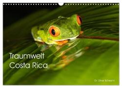 Traumwelt Costa Rica (Wandkalender 2024 DIN A3 quer), CALVENDO Monatskalender