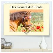 Das Gesicht der Pferde (hochwertiger Premium Wandkalender 2024 DIN A2 quer), Kunstdruck in Hochglanz