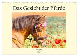 Das Gesicht der Pferde (Wandkalender 2024 DIN A3 quer), CALVENDO Monatskalender