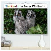 Tierkinder in freier Wildbahn (hochwertiger Premium Wandkalender 2024 DIN A2 quer), Kunstdruck in Hochglanz