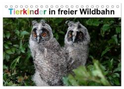 Tierkinder in freier Wildbahn (Tischkalender 2024 DIN A5 quer), CALVENDO Monatskalender