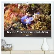 Kleine Meerestiere - nah dran (hochwertiger Premium Wandkalender 2024 DIN A2 quer), Kunstdruck in Hochglanz