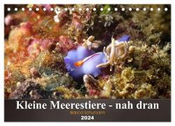 Kleine Meerestiere - nah dran (Tischkalender 2024 DIN A5 quer), CALVENDO Monatskalender