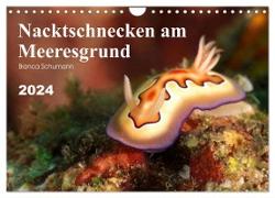 Nacktschnecken am Meeresgrund (Wandkalender 2024 DIN A4 quer), CALVENDO Monatskalender