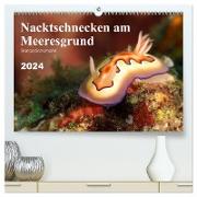 Nacktschnecken am Meeresgrund (hochwertiger Premium Wandkalender 2024 DIN A2 quer), Kunstdruck in Hochglanz