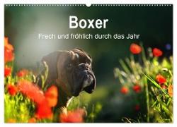 Boxer Frech und fröhlich durch das Jahr (Wandkalender 2024 DIN A2 quer), CALVENDO Monatskalender