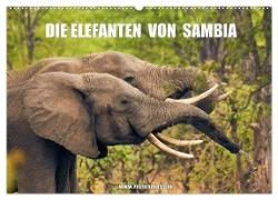 Die Elefanten von Sambia (Wandkalender 2024 DIN A2 quer), CALVENDO Monatskalender