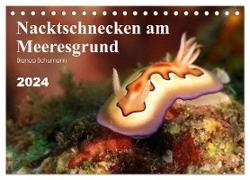 Nacktschnecken am Meeresgrund (Tischkalender 2024 DIN A5 quer), CALVENDO Monatskalender
