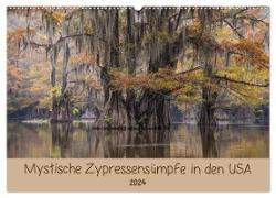 Mystische Zypressensümpfe (Wandkalender 2024 DIN A2 quer), CALVENDO Monatskalender