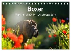 Boxer Frech und fröhlich durch das Jahr (Tischkalender 2024 DIN A5 quer), CALVENDO Monatskalender
