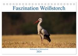 Faszination Weißstorch (Tischkalender 2024 DIN A5 quer), CALVENDO Monatskalender