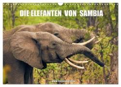 Die Elefanten von Sambia (Wandkalender 2024 DIN A3 quer), CALVENDO Monatskalender