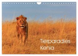 Tierparadies Kenia (Wandkalender 2024 DIN A4 quer), CALVENDO Monatskalender