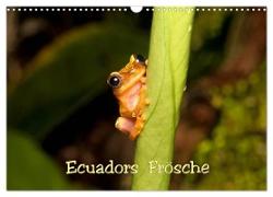 Ecuadors Frösche (Wandkalender 2024 DIN A3 quer), CALVENDO Monatskalender
