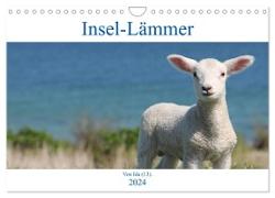 Insel-Lämmer (Wandkalender 2024 DIN A4 quer), CALVENDO Monatskalender