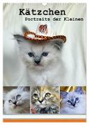 Kätzchen - Portraits der Kleinen (Wandkalender 2024 DIN A3 hoch), CALVENDO Monatskalender