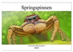 Faszination Makrofotografie: Springspinnen (Wandkalender 2024 DIN A3 quer), CALVENDO Monatskalender