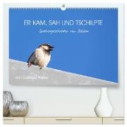 Er kam, sah und tschilpte - Spatzengeschichten vom Balkon (hochwertiger Premium Wandkalender 2024 DIN A2 quer), Kunstdruck in Hochglanz