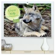 Unsere Wölfe - Ein Wildtier kehrt zurück (hochwertiger Premium Wandkalender 2024 DIN A2 quer), Kunstdruck in Hochglanz