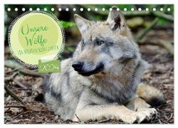 Unsere Wölfe - Ein Wildtier kehrt zurück (Tischkalender 2024 DIN A5 quer), CALVENDO Monatskalender