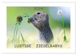 Lustige Zieselbabys (Wandkalender 2024 DIN A2 quer), CALVENDO Monatskalender