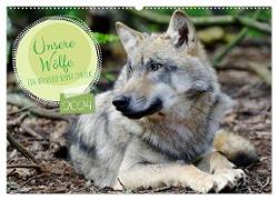 Unsere Wölfe - Ein Wildtier kehrt zurück (Wandkalender 2024 DIN A2 quer), CALVENDO Monatskalender