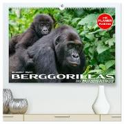 Berggorillas im Herzen Afrikas (hochwertiger Premium Wandkalender 2024 DIN A2 quer), Kunstdruck in Hochglanz
