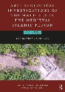 Archaeological Investigations of the Maldives in the Medieval Islamic Period