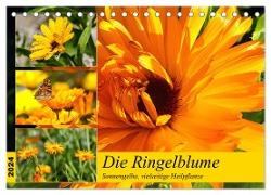 Die Ringelblume. Sonnengelbe, vielseitige Heilpflanze (Tischkalender 2024 DIN A5 quer), CALVENDO Monatskalender