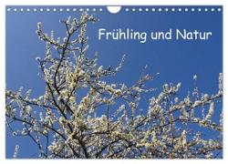 Frühling und Natur (Wandkalender 2024 DIN A4 quer), CALVENDO Monatskalender