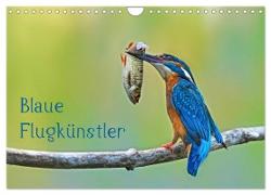 Blaue Flugkünstler (Wandkalender 2024 DIN A4 quer), CALVENDO Monatskalender