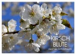 Kirschblüte rund um Witzenhausen (Wandkalender 2024 DIN A2 quer), CALVENDO Monatskalender