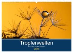 Tropfenwelten, Faszination der Makrofotografie (Wandkalender 2024 DIN A2 quer), CALVENDO Monatskalender
