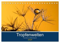 Tropfenwelten, Faszination der Makrofotografie (Tischkalender 2024 DIN A5 quer), CALVENDO Monatskalender