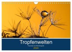 Tropfenwelten, Faszination der Makrofotografie (Wandkalender 2024 DIN A4 quer), CALVENDO Monatskalender
