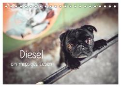 Diesel - ein mopsiges Leben (Tischkalender 2024 DIN A5 quer), CALVENDO Monatskalender
