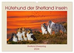 Hütehund der Shetland Inseln - Shetland Sheepdog (Wandkalender 2024 DIN A2 quer), CALVENDO Monatskalender
