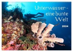 Unterwasser - eine bunte Welt (Wandkalender 2024 DIN A2 quer), CALVENDO Monatskalender
