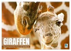 Giraffen: die afrikanischen Tiere mit Weitblick (Wandkalender 2024 DIN A2 quer), CALVENDO Monatskalender