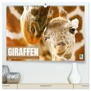 Giraffen: die afrikanischen Tiere mit Weitblick (hochwertiger Premium Wandkalender 2024 DIN A2 quer), Kunstdruck in Hochglanz
