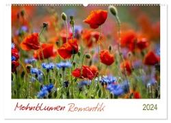 Mohnblumen Romantik (Wandkalender 2024 DIN A2 quer), CALVENDO Monatskalender